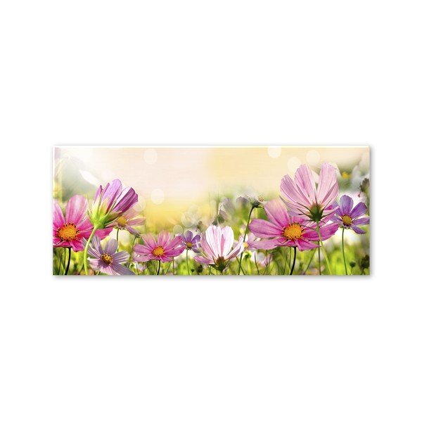 Vaizdas Styler Glas Flowers Astry, 50 x 125 cm