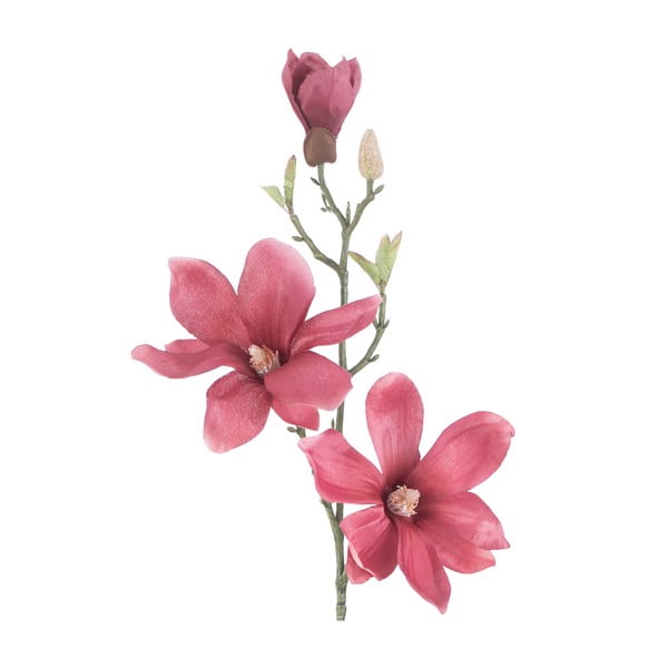 Dirbtinės gėlės 10 vnt. (aukštis 69 cm) Magnolia – Restilo-image-3