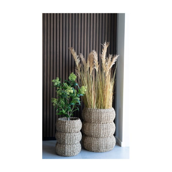 Dirbtinis augalas Skimmia - House Nordic-image-3