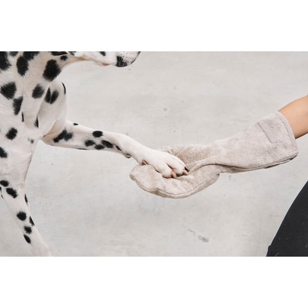 Aksesuaras augintiniams Guanto Midnight – MiaCara-image-3