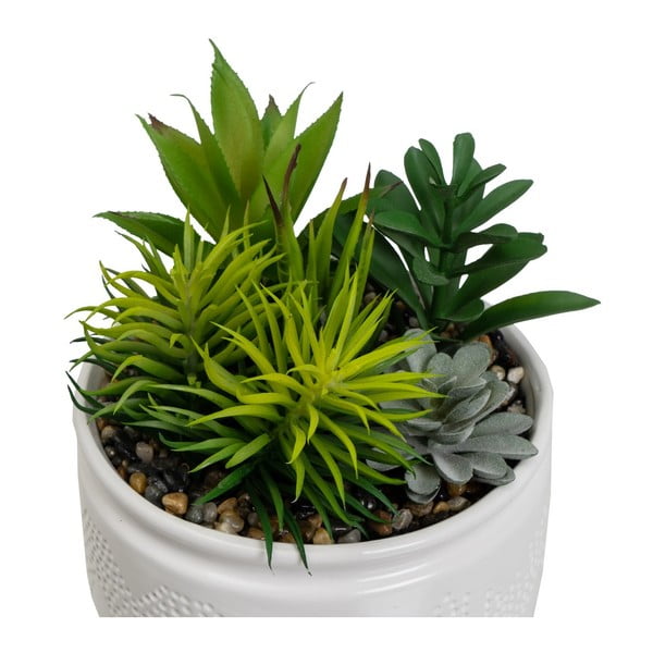 Dirbtiniai augalai 2 vnt. (aukštis 19 cm) Cactus – Casa Selección-image-2