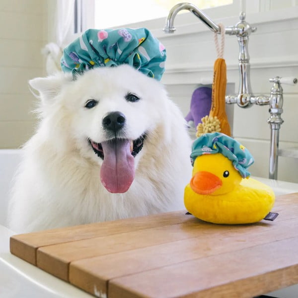 Žaislas šuniui Duck – P.L.A.Y.-image-2