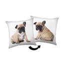 Vaikiška pagalvė 40x40 cm Bulldog – Jerry Fabrics
