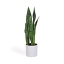 Dirbtinis augalas (aukštis 55 cm) Sansevieria – Kave Home