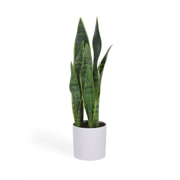 Dirbtinis augalas (aukštis 55 cm) Sansevieria – Kave Home
