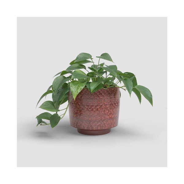 Iš keramikos rankų darbo gėlių vazono dangtelis ø 21 cm Minerva – Artevasi-image-3