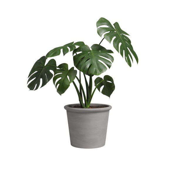 Vazonas iš terakotos ø 18 cm Saramago Cilindro – Artevasi-image-1