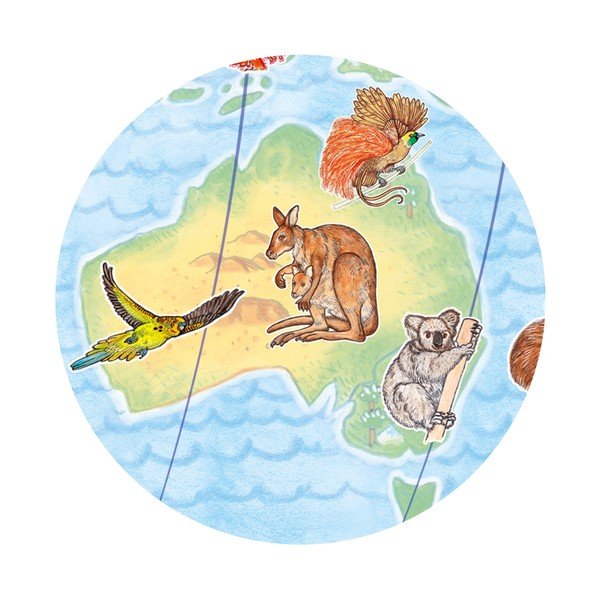 Galvosūkis World's animals - Djeco-image-2