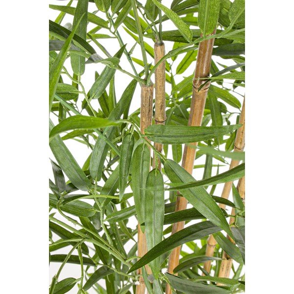 Dirbtinis bambukas (aukštis 155 cm) Bamboo – Bizzotto-image-1