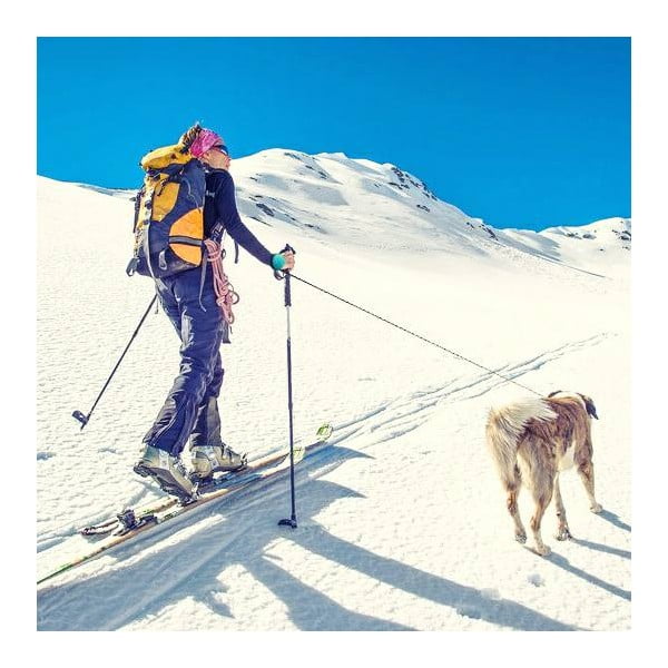 Pavadėlis mėlynos spalvos M 3 Bungee – Lishinu-image-3