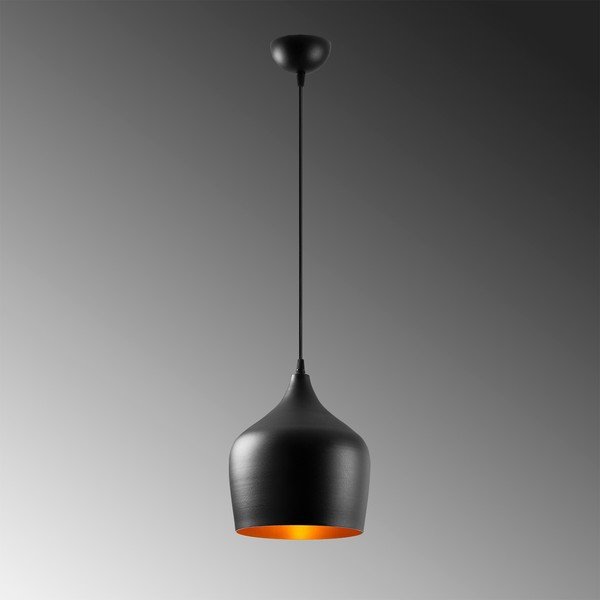 Kabantis šviestuvas juodos spalvos ø 22 cm su metaliniu gaubtu Dodo – Opviq lights-image-3