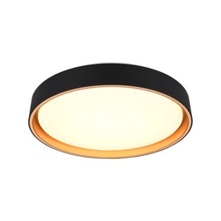 Lubinis šviestuvas juodos spalvos LED ø 40 cm Felis – Trio