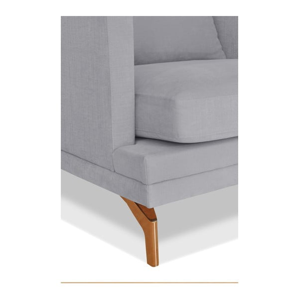Pilkas fotelis "Windsor & Co. Sofos Jupiter-image-3