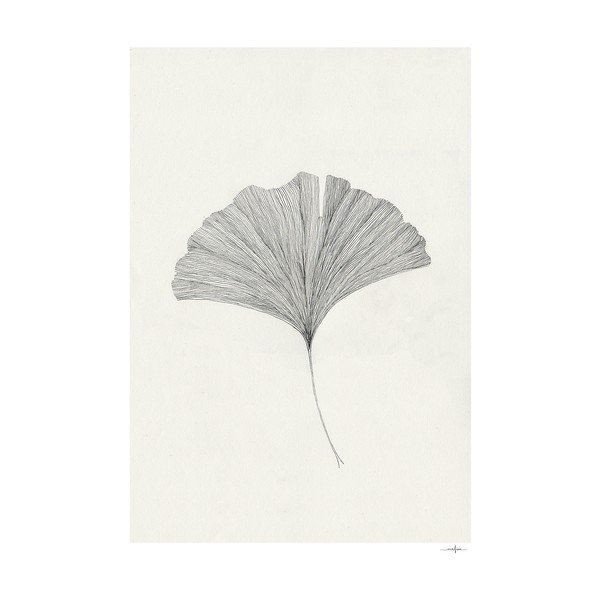 Plakatas 50x70 cm Ginkgo Leaf – Ana Frois – The Poster Club