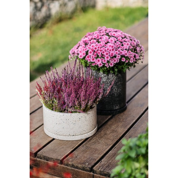 Tamsiai pilkas vazonas Bonami Selection Terrazzo, ø 34 cm-image-1