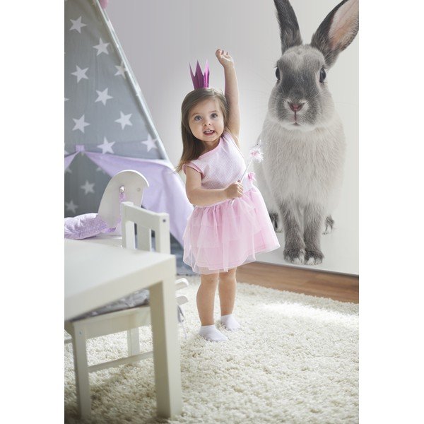 Sienų lipdukas Dekornik Rabbit Harry, 53 x 115 cm-image-3