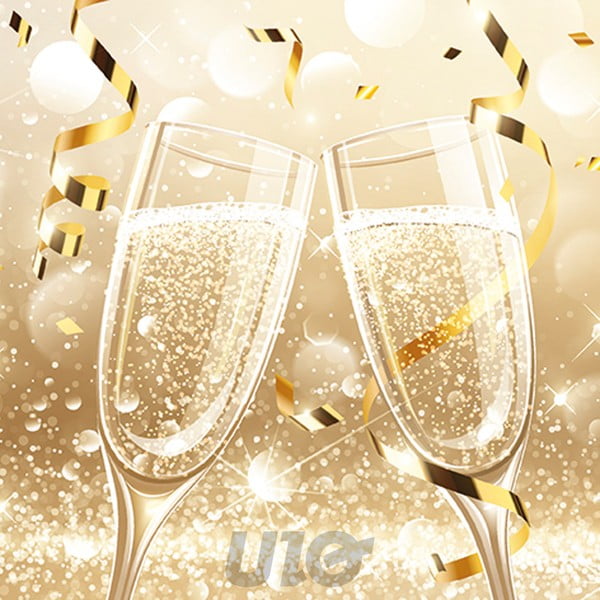 Servetėlės 20 vnt. 33x33 cm Noel – Homéa