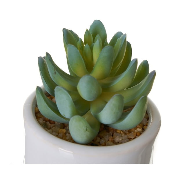 Dirbtinės gėlės 4 vnt. Cactus – Casa Selección-image-2
