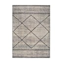 Pilkas kilimas Universal Kasbah Gris, 160 x 230 cm