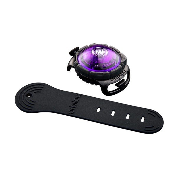 LED apykaklės apšvietimas Purple - Orbiloc-image-1