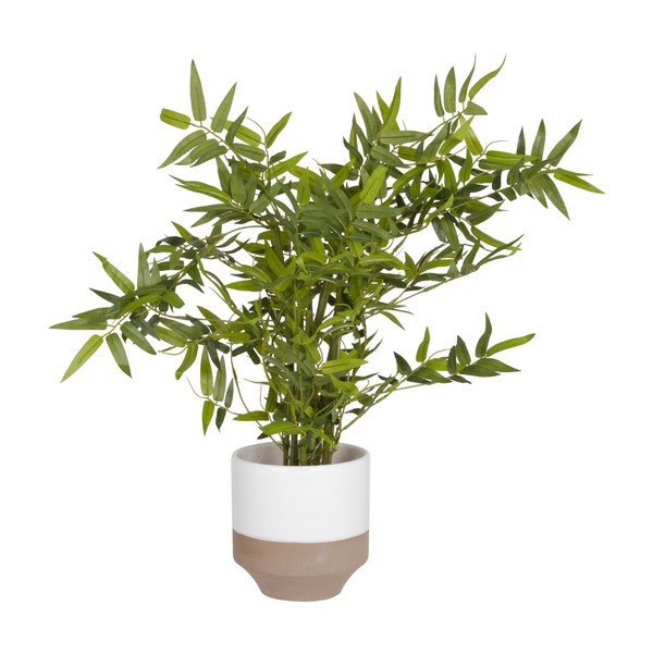 Keraminis vazonas Dovanų laikas "Native White", didelis-image-1