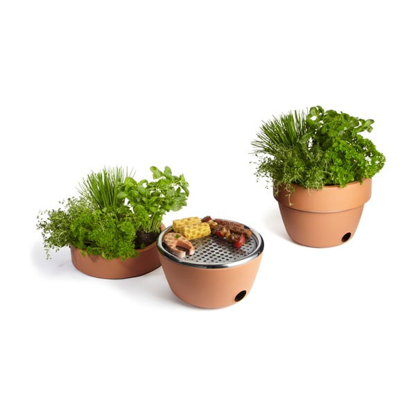 Grilis aka žolelių vazonas-image-1