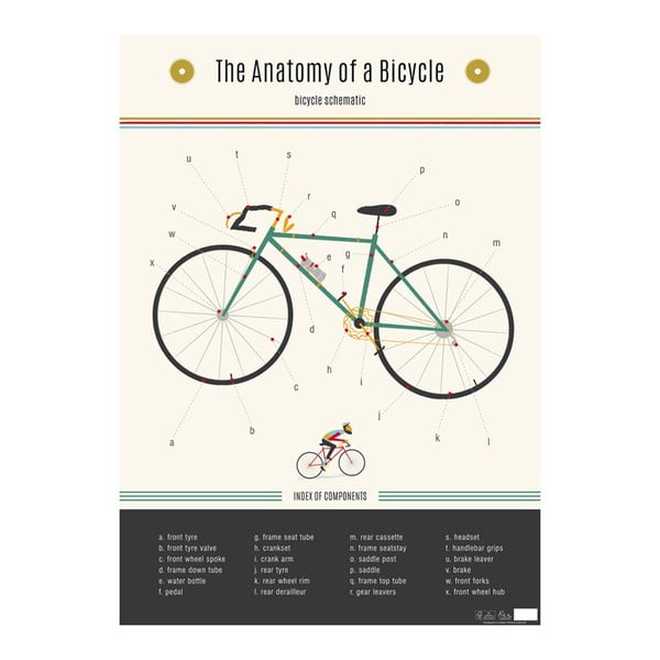 Sieninis plakatas Rex London Anatomy Of a Bicycle
