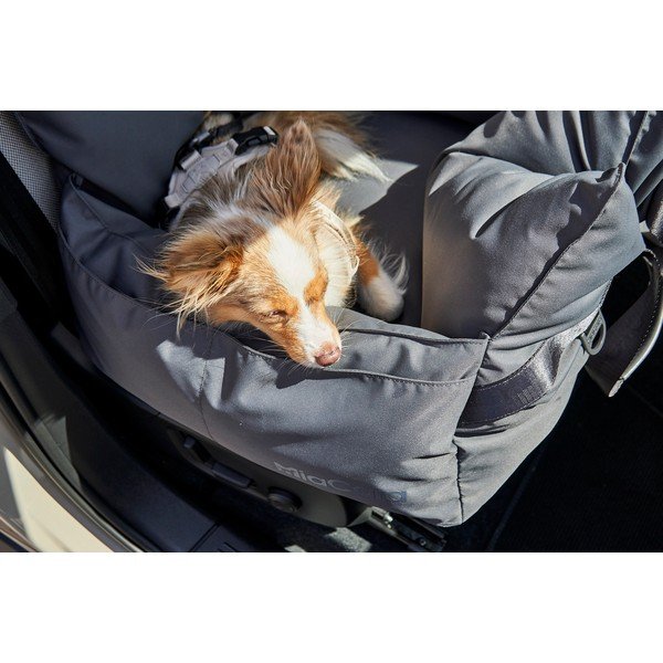 Tamsiai pilkos spalvos transportavimo krepšys šuniui 50x50 cm Viaggio Asphalt – MiaCara-image-3