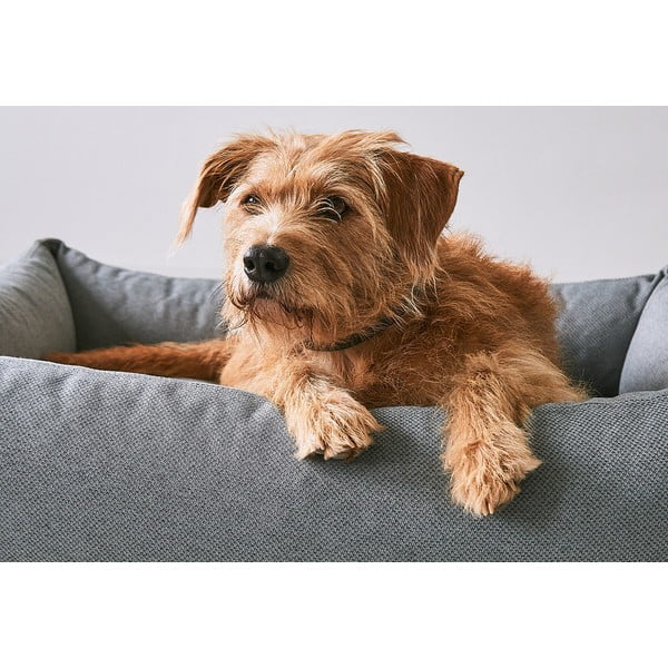 Augintinio guolis rudos spalvos šuniui 93x120 cm Mare Kelp L – MiaCara-image-2