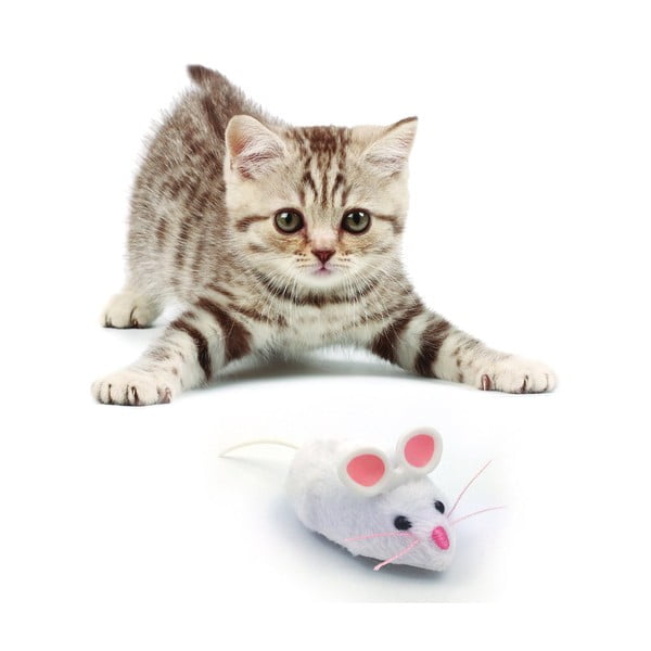 Robotinė pelė katėms - HEXBUG-image-3