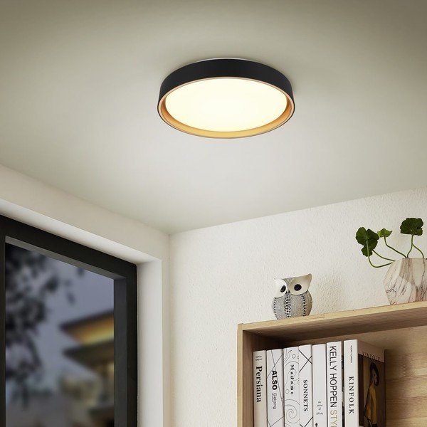 Lubinis šviestuvas juodos spalvos LED ø 40 cm Felis – Reality-image-1