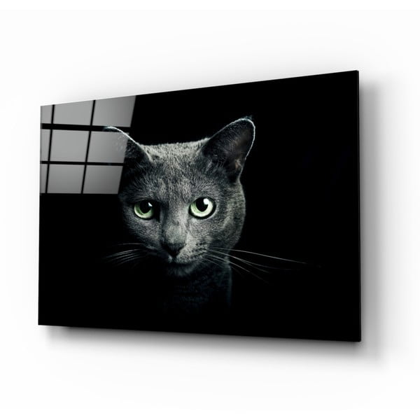 Paveikslas ant stiklo Insigne Cat, 110 x 70 cm