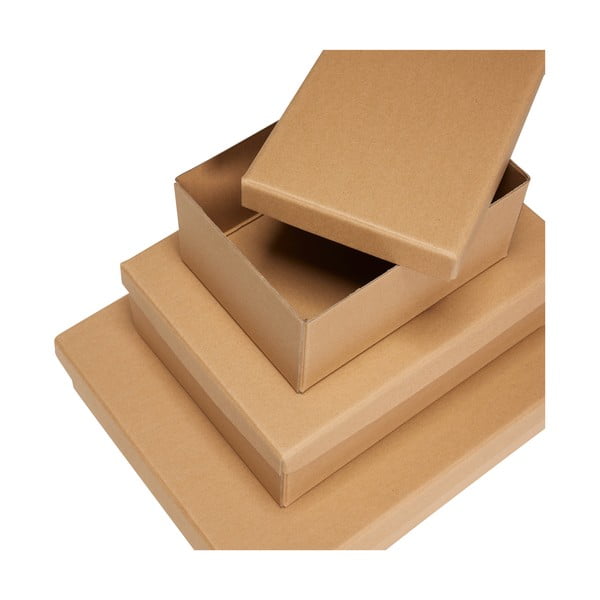Iš kartono daiktadėžės natūralios spalvos su dangčiu 3 vnt. 44x31x10 cm Storeit – Hübsch-image-2