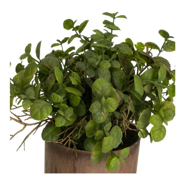 Dirbtiniai augalai 2 vnt. (aukštis 22 cm) – Casa Selección-image-1