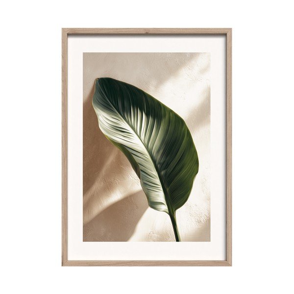 Spausdintas paveikslas su rėmeliu 50x70 cm Strelizia Leaf – Styler