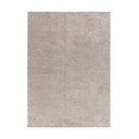 Šviesiai pilkas kilimas 120x170 cm Loft - Universal