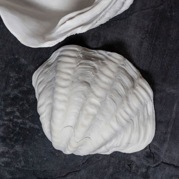 Iš polirezino dekoratyvinis dubuo 24x19 cm Shell – Mette Ditmer Denmark-image-2