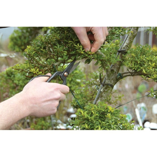 Plieninės sodo žirklės Esschert Design Garden-image-3