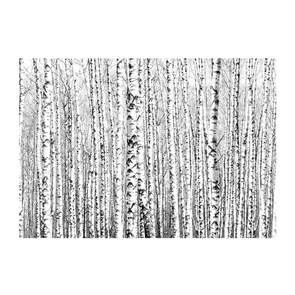 Didelio formato tapetai Artgeist Birch Forest, 400 x 280 cm