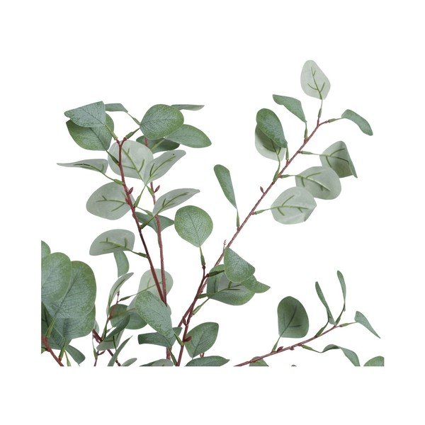 Dirbtinis eukaliptas (aukštis 180 cm) Eucalyptus – Ixia-image-2