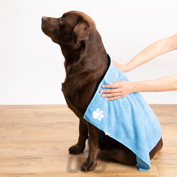 Aksesuaras augintiniams – Love Story-image-1