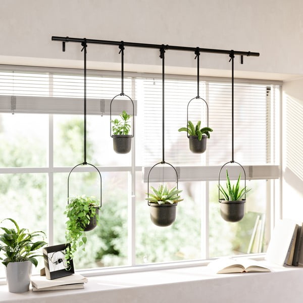 Iš plastiko gėlių vazonų dangteliai 5 vnt. žolelėms/pakabinami ir sieniniai ø 7,5 cm Triflora – Umbra-image-3