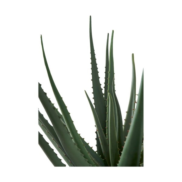 Dirbtinis augalas (aukštis 51 cm) Aloe Vera – House Nordic-image-3