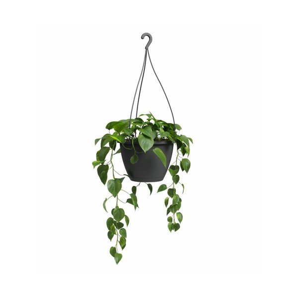 Iš plastiko vazonas ø 31 cm Algarve – Artevasi