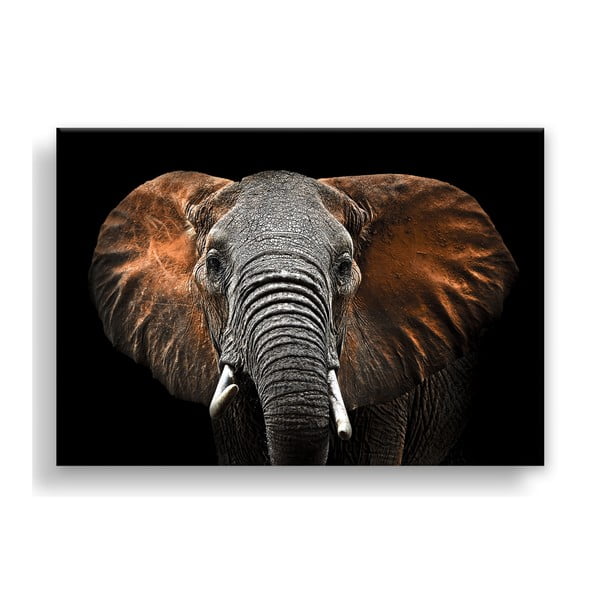 Vaizdas Styler Canvas Silver Uno Elephant, 85 x 113 cm