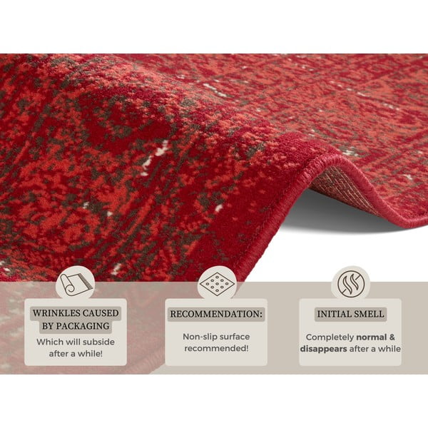 Raudonas kilimas Hanse Home Celebration Plume, 120 x 170 cm-image-4
