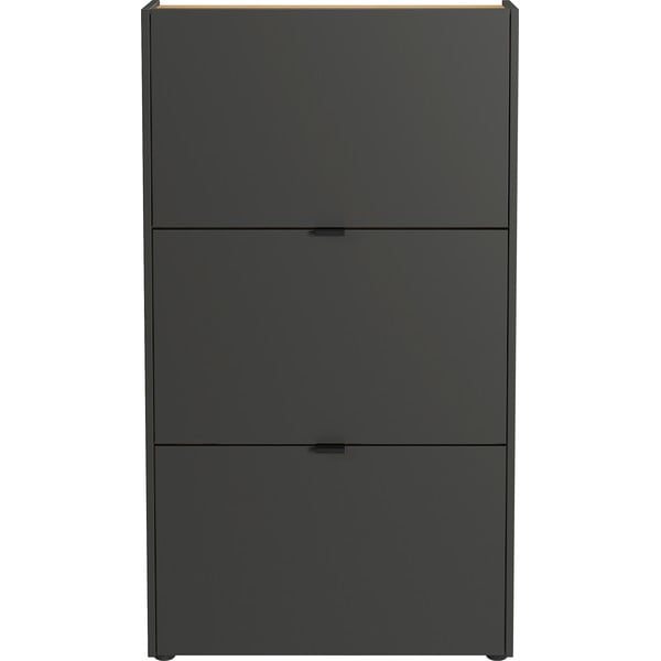 Antracito spalvos koridoriaus baldas 101x200x22 cm Ameca – Germania-image-4