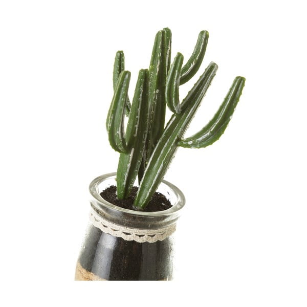 Dirbtiniai augalai 4 vnt. (aukštis 18 cm) Cactus – Casa Selección-image-4