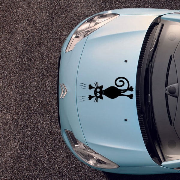 Lipdukas Fanastick katė ir durys-image-1