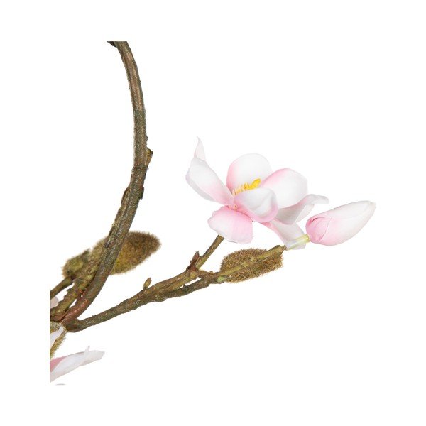 Vainikas Magnolia – Ixia-image-3